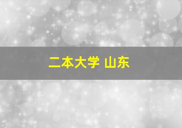 二本大学 山东